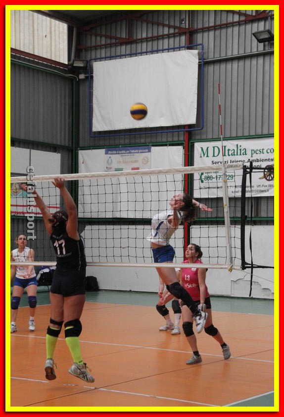 140223 cegap 150_tn.jpg